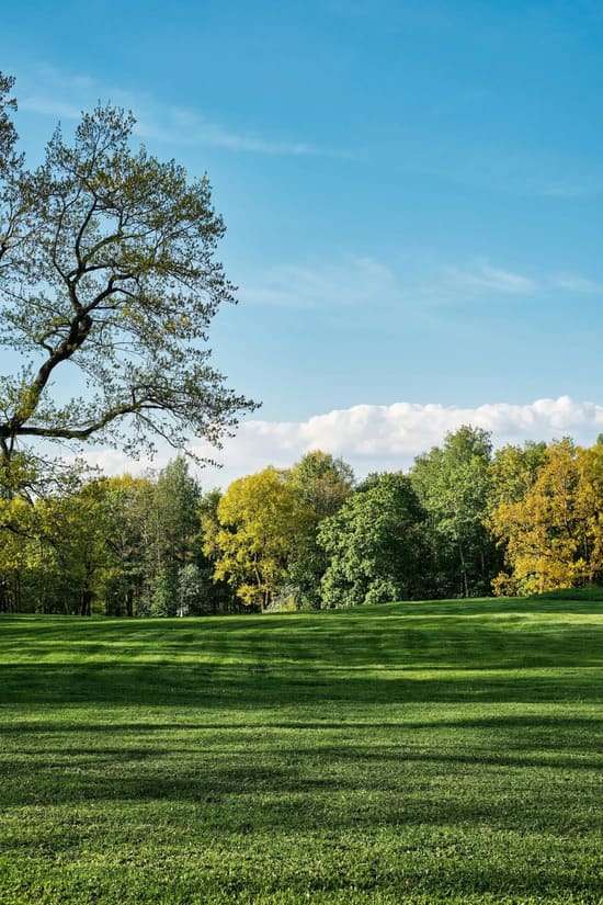 Parc Marquette-lez-Lille